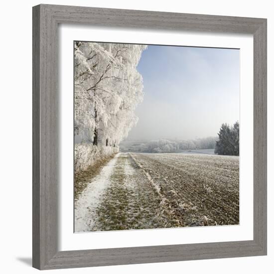 Field Scenery, Wood, Hoarfrost-Roland T.-Framed Photographic Print