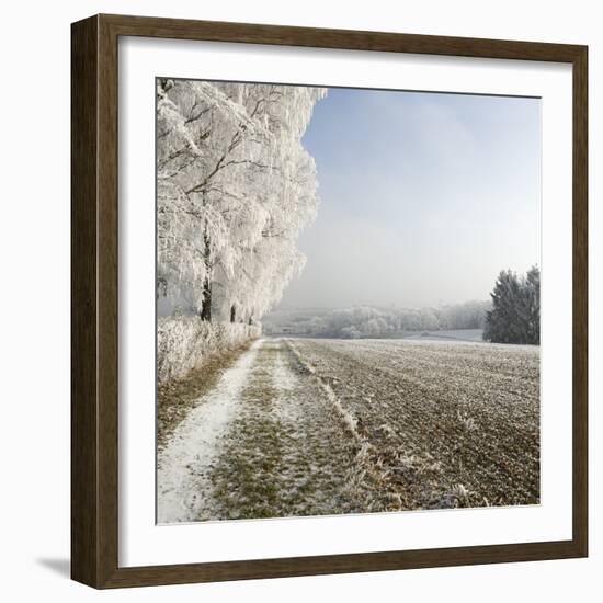 Field Scenery, Wood, Hoarfrost-Roland T.-Framed Photographic Print