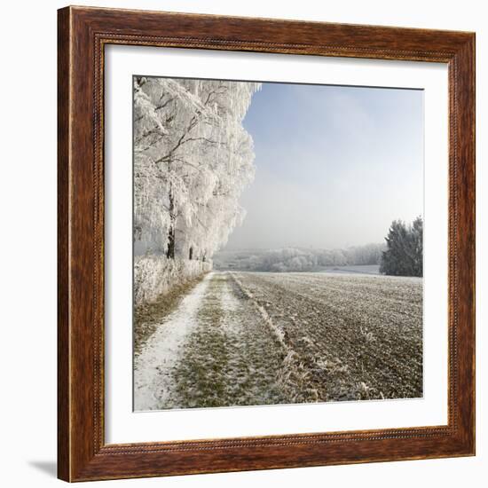 Field Scenery, Wood, Hoarfrost-Roland T.-Framed Photographic Print