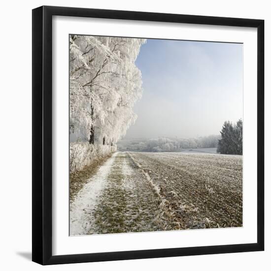 Field Scenery, Wood, Hoarfrost-Roland T.-Framed Photographic Print