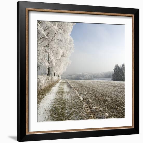 Field Scenery, Wood, Hoarfrost-Roland T.-Framed Photographic Print