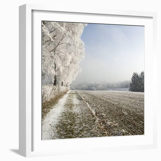 Field Scenery, Wood, Hoarfrost-Roland T.-Framed Photographic Print