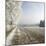 Field Scenery, Wood, Hoarfrost-Roland T.-Mounted Photographic Print