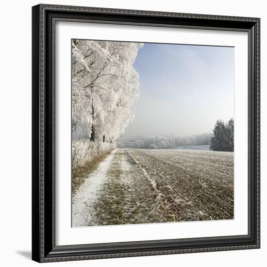 Field Scenery, Wood, Hoarfrost-Roland T.-Framed Photographic Print