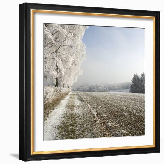 Field Scenery, Wood, Hoarfrost-Roland T.-Framed Photographic Print