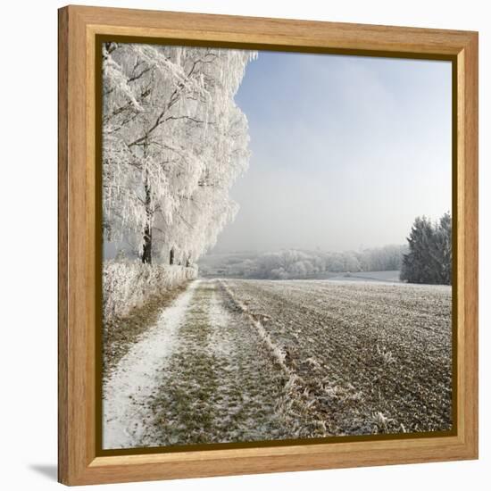 Field Scenery, Wood, Hoarfrost-Roland T.-Framed Premier Image Canvas