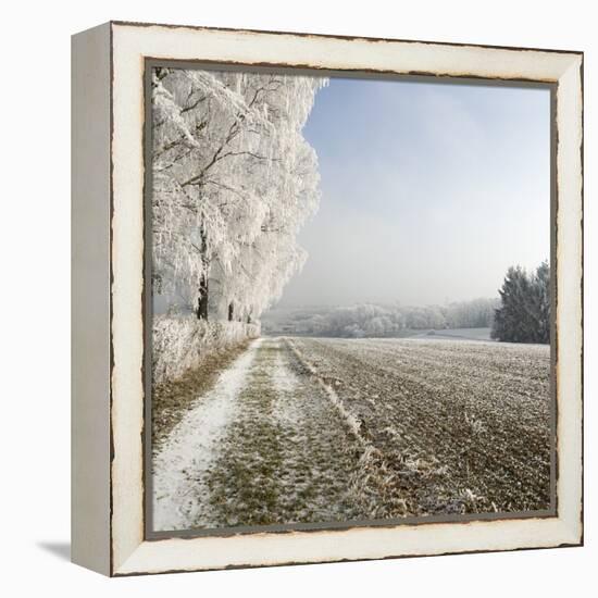 Field Scenery, Wood, Hoarfrost-Roland T.-Framed Premier Image Canvas