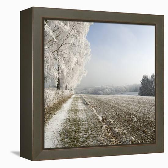 Field Scenery, Wood, Hoarfrost-Roland T.-Framed Premier Image Canvas