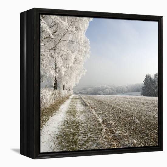 Field Scenery, Wood, Hoarfrost-Roland T.-Framed Premier Image Canvas