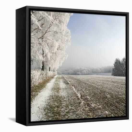 Field Scenery, Wood, Hoarfrost-Roland T.-Framed Premier Image Canvas