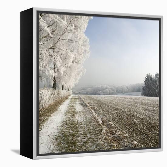 Field Scenery, Wood, Hoarfrost-Roland T.-Framed Premier Image Canvas