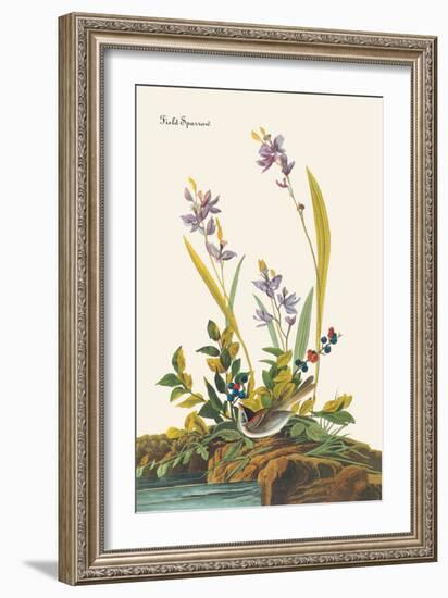 Field Sparrow-John James Audubon-Framed Art Print