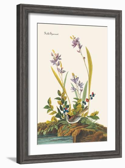 Field Sparrow-John James Audubon-Framed Art Print