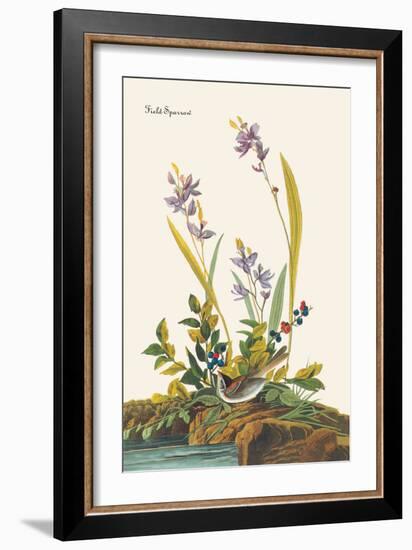 Field Sparrow-John James Audubon-Framed Art Print