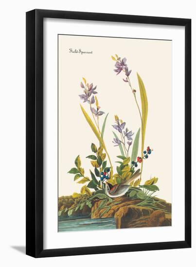 Field Sparrow-John James Audubon-Framed Art Print