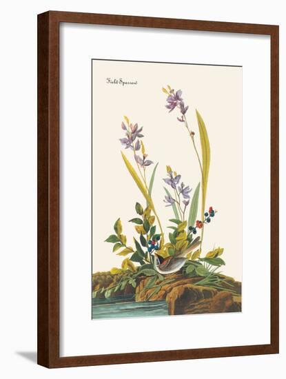 Field Sparrow-John James Audubon-Framed Art Print