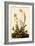 Field Sparrow-John James Audubon-Framed Giclee Print