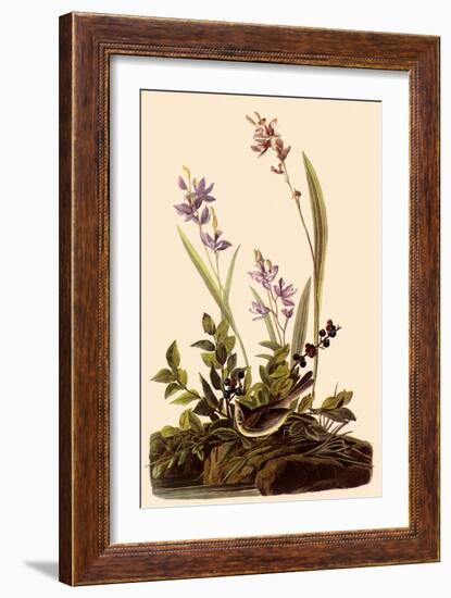 Field Sparrow-John James Audubon-Framed Giclee Print