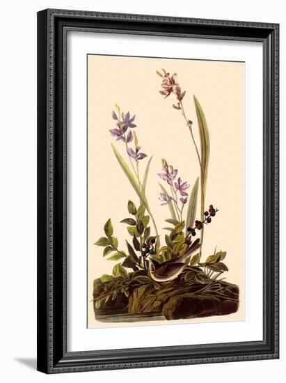 Field Sparrow-John James Audubon-Framed Giclee Print