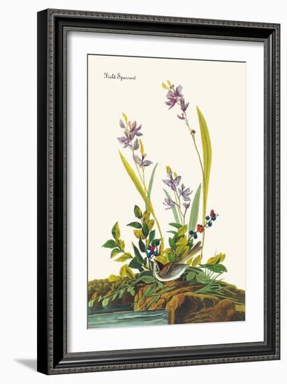 Field Sparrow-John James Audubon-Framed Art Print