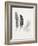 Field Study Feather Trio-Jurgen Gottschlag-Framed Art Print