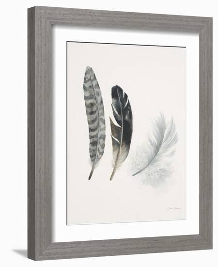 Field Study Feather Trio-Jurgen Gottschlag-Framed Art Print