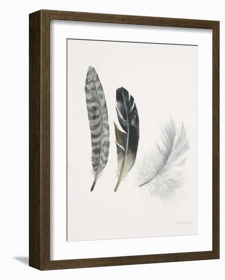 Field Study Feather Trio-Jurgen Gottschlag-Framed Art Print