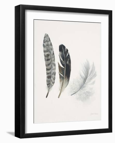 Field Study Feather Trio-Jurgen Gottschlag-Framed Art Print