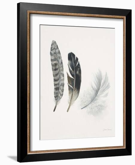 Field Study Feather Trio-Jurgen Gottschlag-Framed Art Print