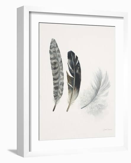 Field Study Feather Trio-Jurgen Gottschlag-Framed Art Print