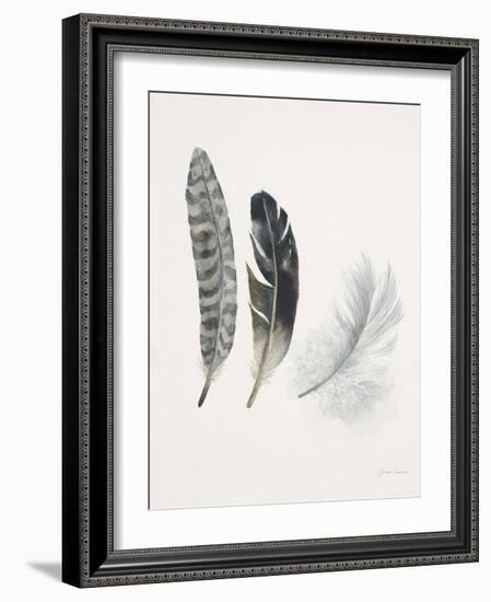 Field Study Feather Trio-Jurgen Gottschlag-Framed Art Print