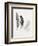 Field Study Feather Trio-Jurgen Gottschlag-Framed Art Print