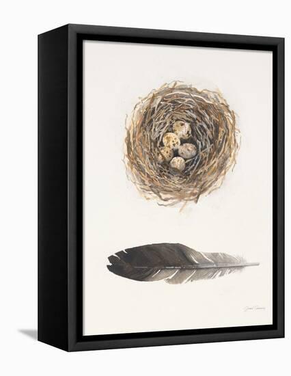 Field Study Nest-Jurgen Gottschlag-Framed Stretched Canvas