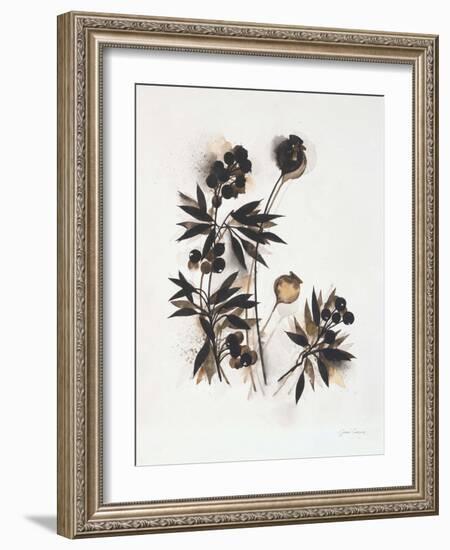 Field Study Pods-Jurgen Gottschlag-Framed Art Print