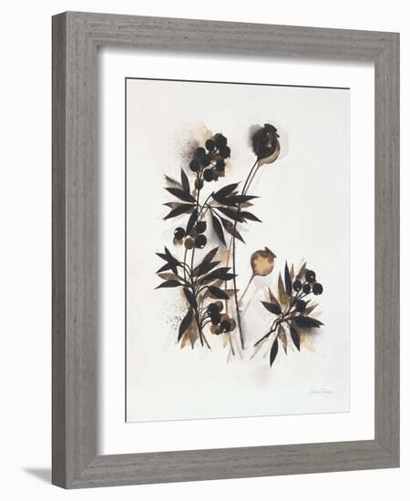 Field Study Pods-Jurgen Gottschlag-Framed Art Print