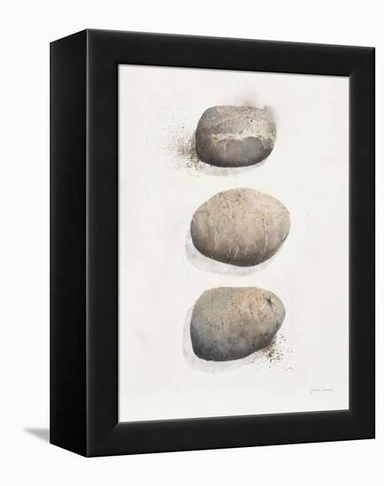 Field Study Stone-Jurgen Gottschlag-Framed Stretched Canvas