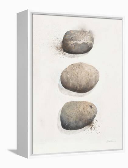 Field Study Stone-Jurgen Gottschlag-Framed Stretched Canvas