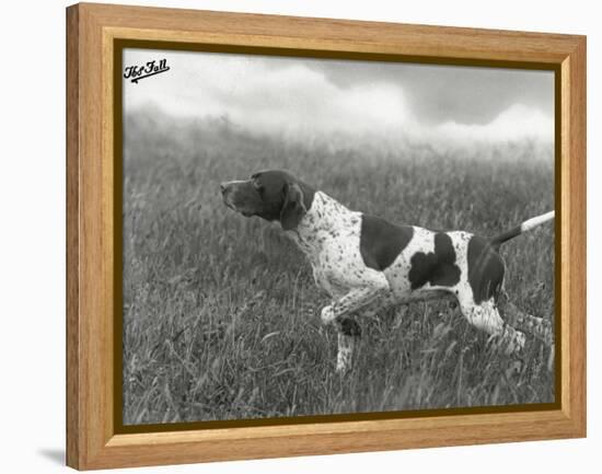 Field Trials Champion Banchory Grouse Owned by Lorna Countess Howe-Thomas Fall-Framed Premier Image Canvas