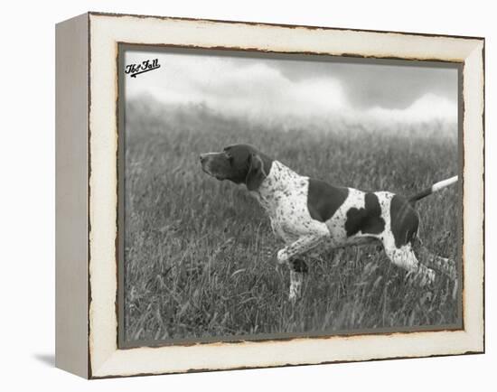 Field Trials Champion Banchory Grouse Owned by Lorna Countess Howe-Thomas Fall-Framed Premier Image Canvas