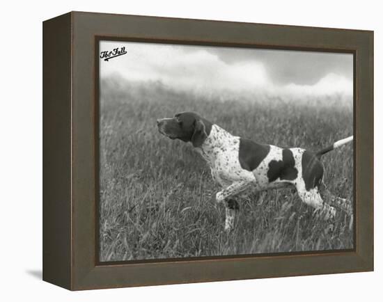 Field Trials Champion Banchory Grouse Owned by Lorna Countess Howe-Thomas Fall-Framed Premier Image Canvas