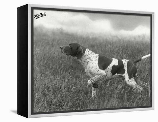 Field Trials Champion Banchory Grouse Owned by Lorna Countess Howe-Thomas Fall-Framed Premier Image Canvas