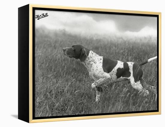 Field Trials Champion Banchory Grouse Owned by Lorna Countess Howe-Thomas Fall-Framed Premier Image Canvas