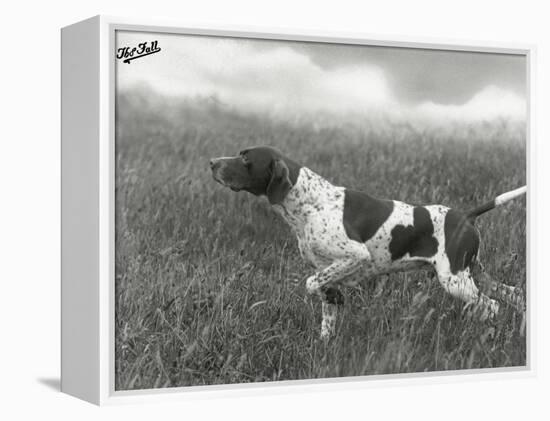 Field Trials Champion Banchory Grouse Owned by Lorna Countess Howe-Thomas Fall-Framed Premier Image Canvas