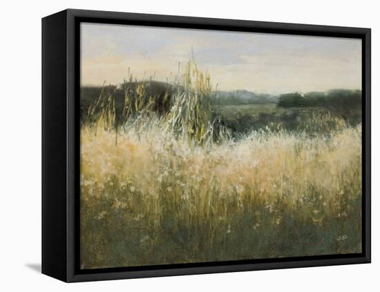 Field View-Julia Purinton-Framed Stretched Canvas