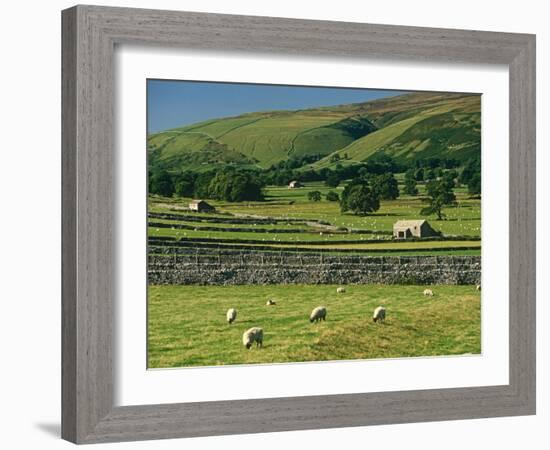 Field Walls of Littondale, Yorkshire Dales National Park, England-Paul Harris-Framed Photographic Print