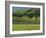 Field Walls of Littondale, Yorkshire Dales National Park, England-Paul Harris-Framed Photographic Print