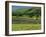 Field Walls of Littondale, Yorkshire Dales National Park, England-Paul Harris-Framed Photographic Print