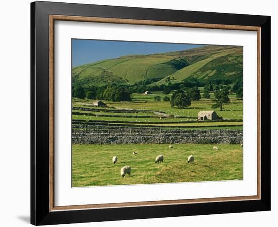 Field Walls of Littondale, Yorkshire Dales National Park, England-Paul Harris-Framed Photographic Print