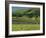 Field Walls of Littondale, Yorkshire Dales National Park, England-Paul Harris-Framed Photographic Print