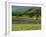 Field Walls of Littondale, Yorkshire Dales National Park, England-Paul Harris-Framed Photographic Print